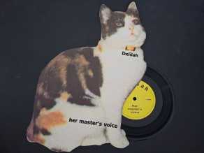 Check here: %product-name%